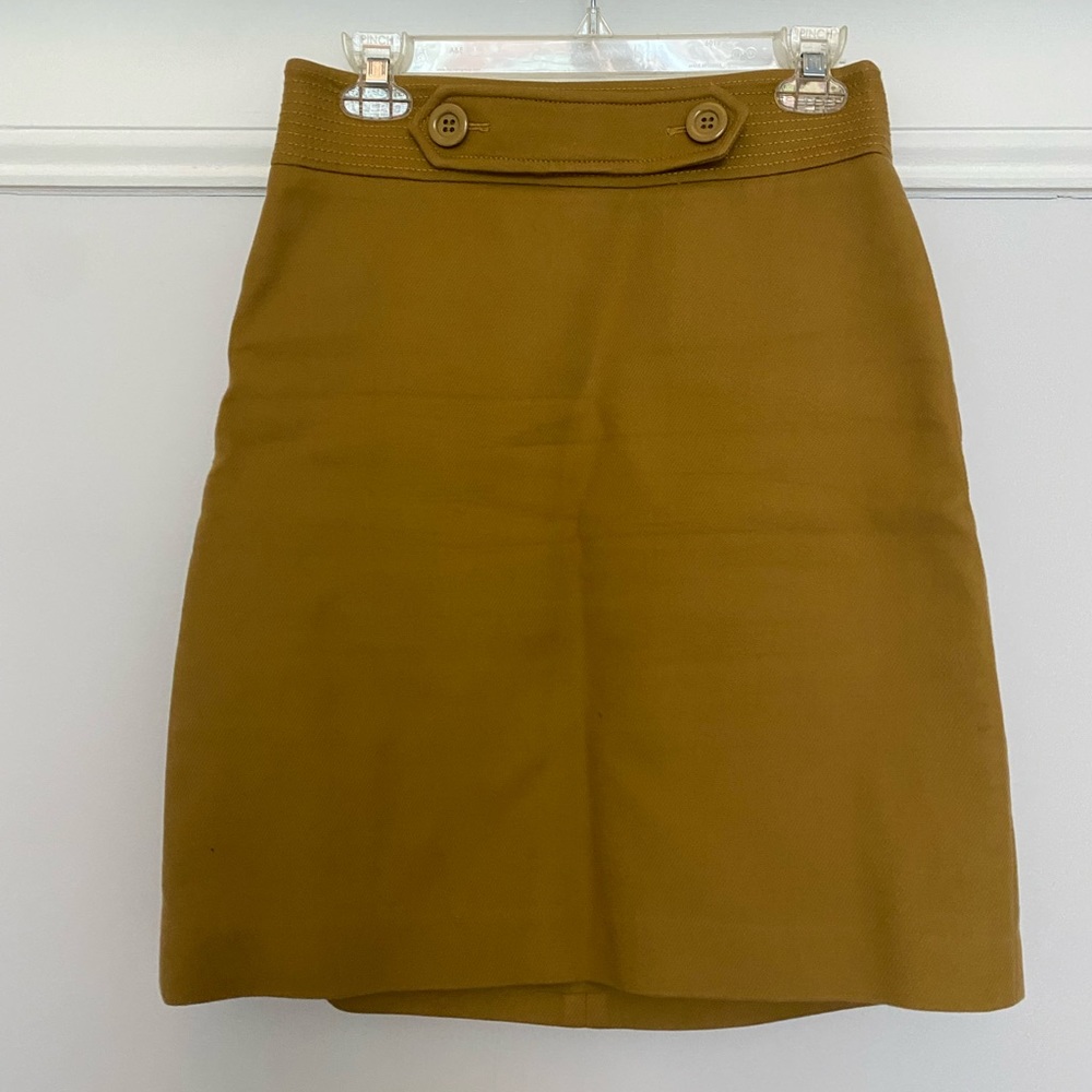Ann Taylor Skirt